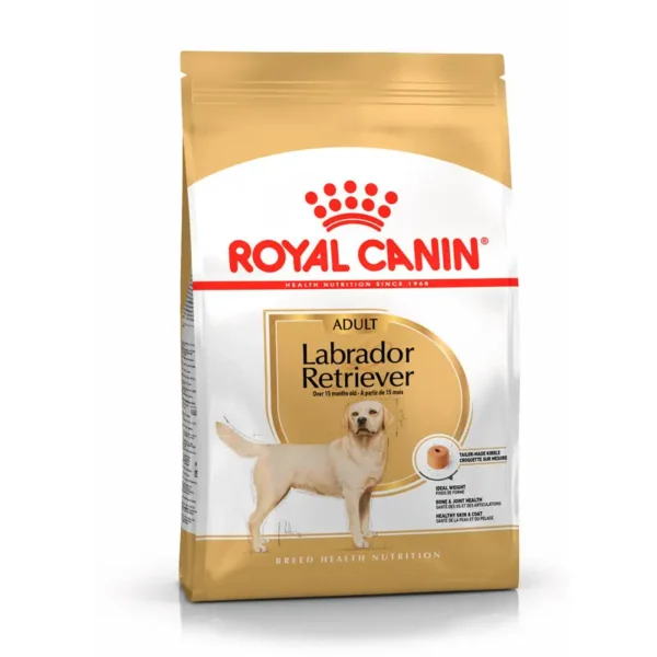 Hundemad til voksen labrador retriever