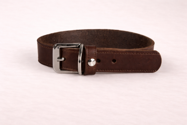 ClassicLeather – Læderhalsbånd til Hund