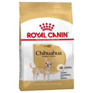 Hundefoder til voksen chihuahua hund