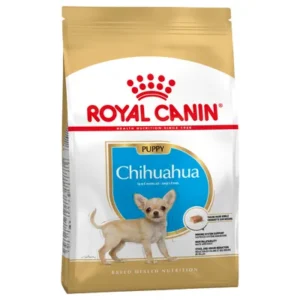 Hundefoder til chihuahua hvalpe